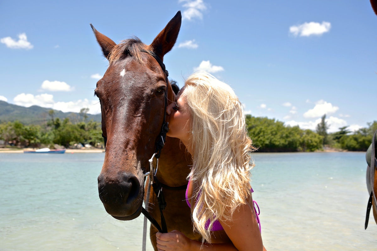 From Montego Bay or Negril: Chukka Horseback Ride and Swim