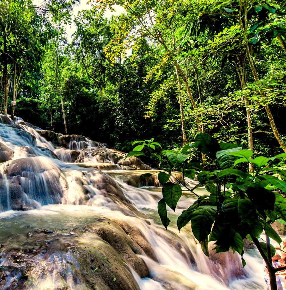 Top 5 Jamaican Waterfalls