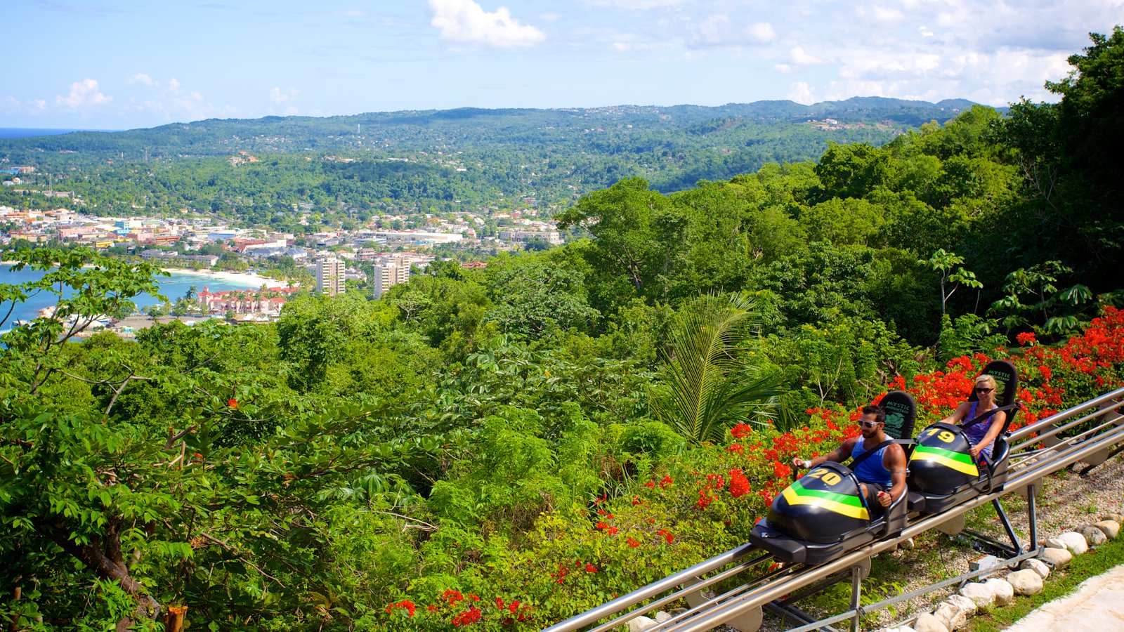 Unleash Your Inner Bobsledder High on Mystic Mountain